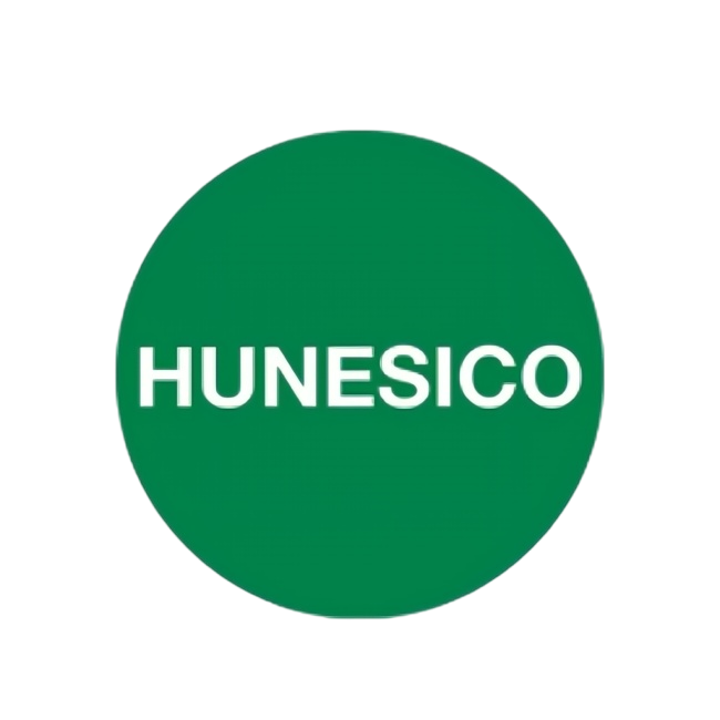 Hunesico Logo